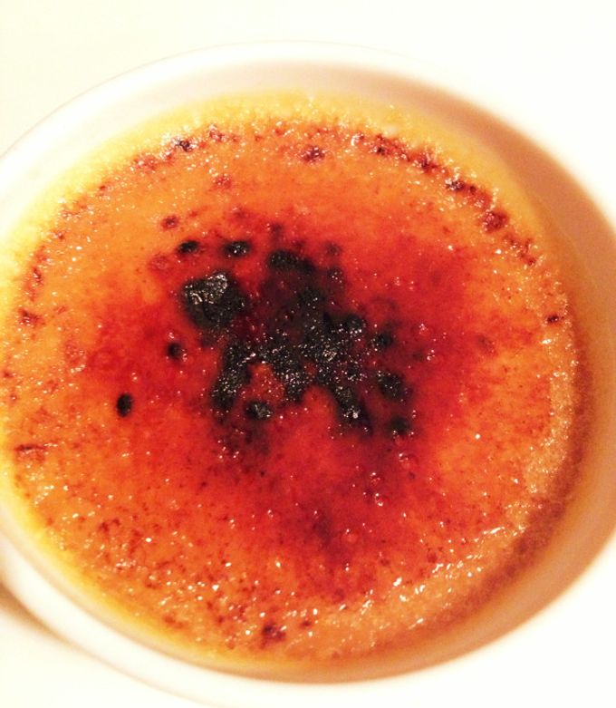 発根株・オリジナル株 すでに2本の芽が出ていてとても元気です