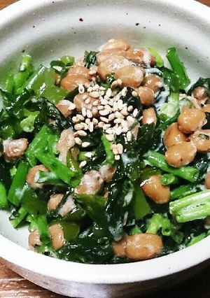簡単3分美容栄養◎新物生わかめの納豆和え-レシピのメイン写真