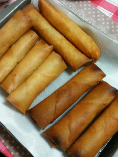 おから春巻-レシピのメイン写真