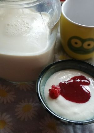 豆乳ヨーグルトの作り方-レシピのメイン写真