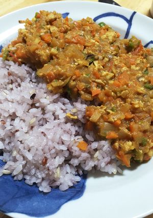 小麦粉☆乳製品不使用ヘルシードライカレー-レシピのメイン写真