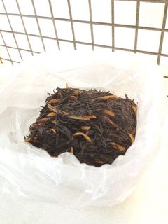 災害非常食 ひじきの炒め煮-レシピのメイン写真