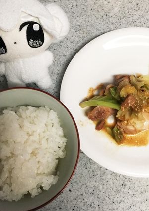 もも肉とキャベツの簡単料理-レシピのメイン写真