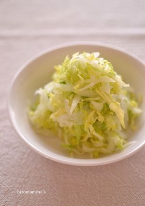 白菜のサラダ-レシピのメイン写真