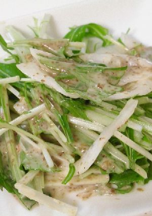 新たまねぎと水菜のサラダ-レシピのメイン写真