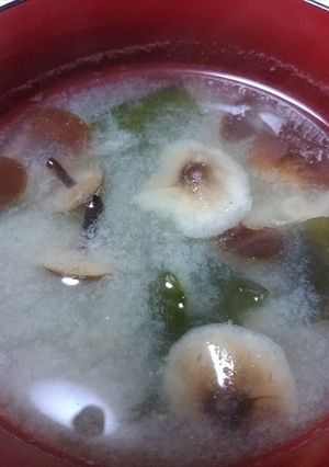 天然エノキダケ、シモフリシメジの味噌汁-レシピのメイン写真