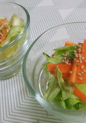 春野菜の簡単浅漬け-レシピのメイン写真
