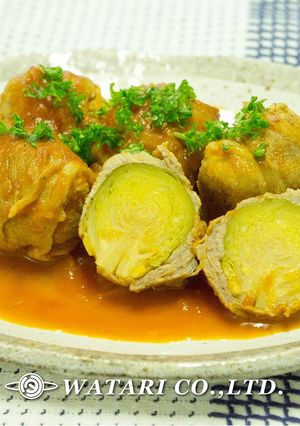 ロール芽キャベツ◇トマトソース◇肉つつみ-レシピのメイン写真
