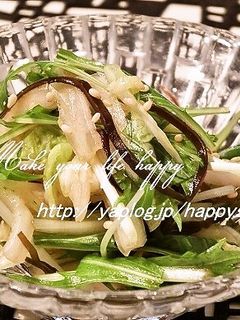 白菜と水菜のゆず胡椒&塩昆布☆サラダ-レシピのメイン写真