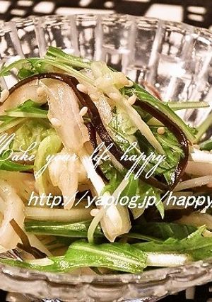 白菜と水菜のゆず胡椒＆塩昆布☆サラダ-レシピのメイン写真