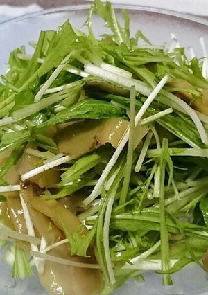 水菜とザーサイ◎サラダ-レシピのメイン写真