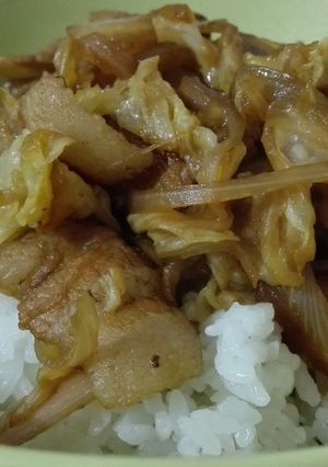 甘じょっぱさが美味い☆簡単豚丼-レシピのメイン写真