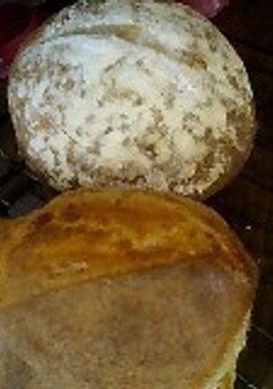 天然酵母のふつうのパン-レシピのメイン写真