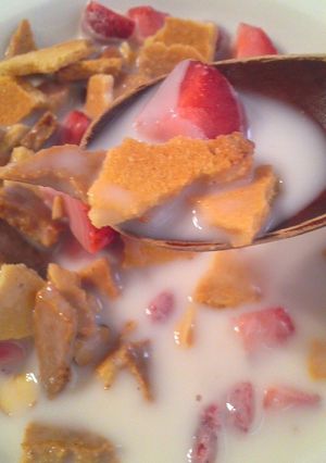 糖質制限 おからシリアル？ クッキー？-レシピのメイン写真