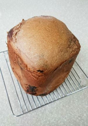 ココアチョコ食パン-レシピのメイン写真