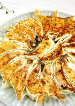 ヘルシー♡美味しい♡お豆腐入り餃子-レシピのメイン写真