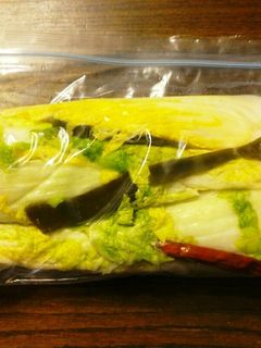 ジッパー袋で白菜の漬物-レシピのメイン写真