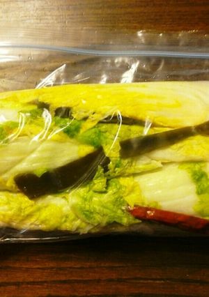 ジッパー袋で白菜の漬物-レシピのメイン写真