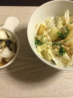 白菜でいっぺんに2品!サラダと浅漬け♪-レシピのメイン写真