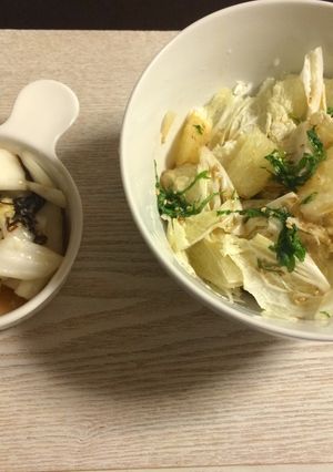 白菜でいっぺんに2品！サラダと浅漬け♪-レシピのメイン写真