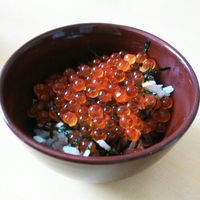 基本からアレンジまで！思わずつくりたくなる「いくら丼」のレシピ集