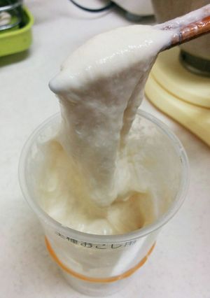 りんご酵母元種様-レシピのメイン写真