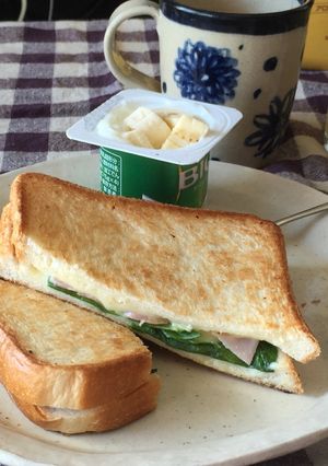 フライパンで作る簡単ホットサンド-レシピのメイン写真