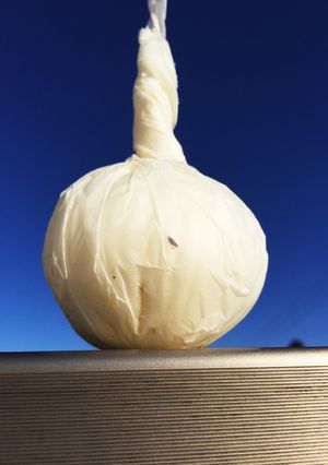 トロトロペロリっ！新たまねぎ♪チン♪-レシピのメイン写真