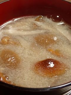 開きナメコとヒラタケの味噌汁-レシピのメイン写真