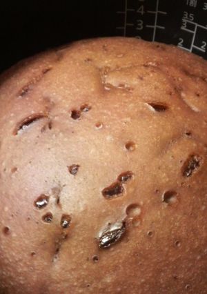 簡単♪炊飯器deケーキ ココア味-レシピのメイン写真
