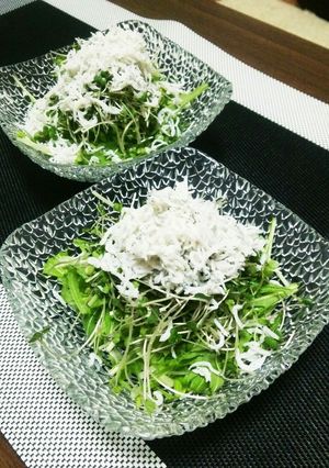 水菜&しらすのさっぱりサラダ☆ごま油風味-レシピのメイン写真