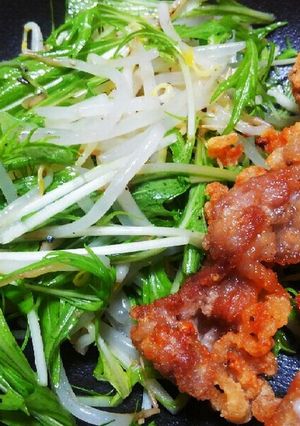もやしと水菜の付け合せ☆-レシピのメイン写真