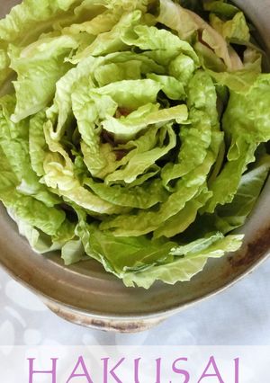 白菜と豚バラ肉の花びら鍋-レシピのメイン写真
