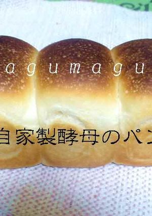 **ヨーグルト酵母で作った♥パン記録**-レシピのメイン写真