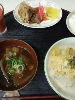 血管プラークダイエット食633(丼朝食)-レシピのメイン写真