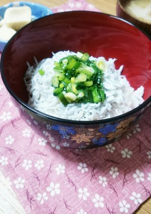 ♡簡単！10分！ネギしらす丼♡-レシピのメイン写真