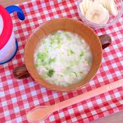 離乳食にも❁鶏と白菜のお粥-レシピのメイン写真