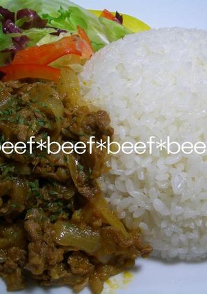 オージービーフでドライカレー風ごはん-レシピのメイン写真
