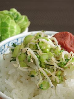 大根葉茎とじゃこのささっと炒め-レシピのメイン写真