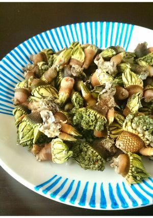 食べなきゃ損☆超美味なカメノテの塩茹で★-レシピのメイン写真