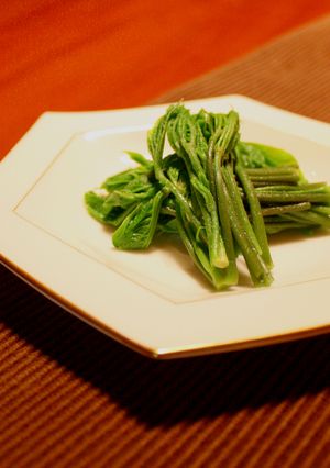山菜・木の芽(コシアブラ)おひたし♪春味-レシピのメイン写真
