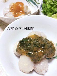 万能☆ネギ味噌-レシピのメイン写真