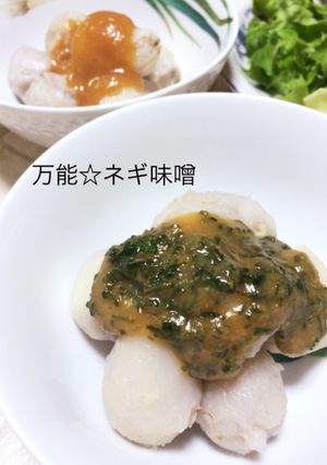 万能☆ネギ味噌-レシピのメイン写真