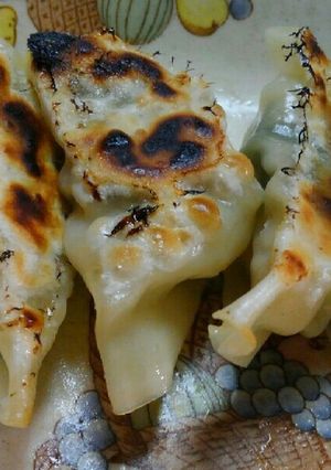 適当料理の餃子-レシピのメイン写真