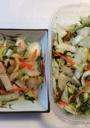白菜と残り野菜の短時間で出来る彩り漬物-レシピのメイン写真