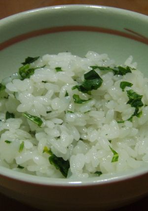 皆大好き！菜めし（＾０＾）-レシピのメイン写真