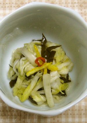 白菜の即席漬け-レシピのメイン写真