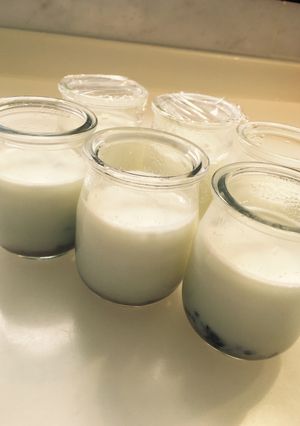 簡単もっちり濃〜い牛乳プリン-レシピのメイン写真
