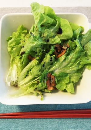 なんでもレタスのホットサラダ-レシピのメイン写真