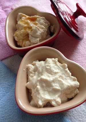 豆乳でクリームチーズ風-レシピのメイン写真